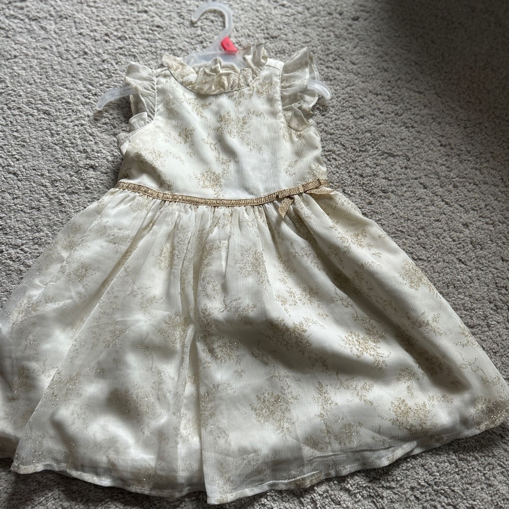 Janie and jack glitter dress